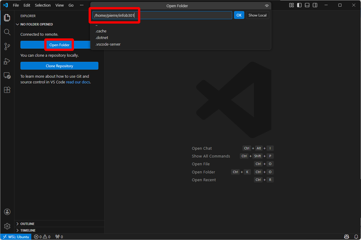 Opening the directory in Visual Studio Code.